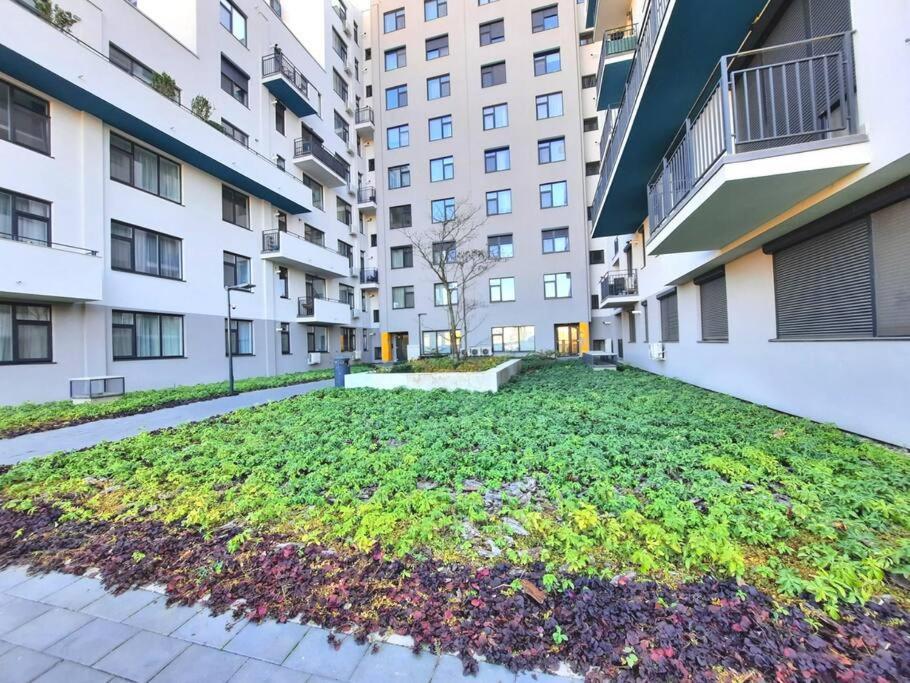 Beautiful Panoramic Central Apartment - City Of Mara Temesvár Kültér fotó